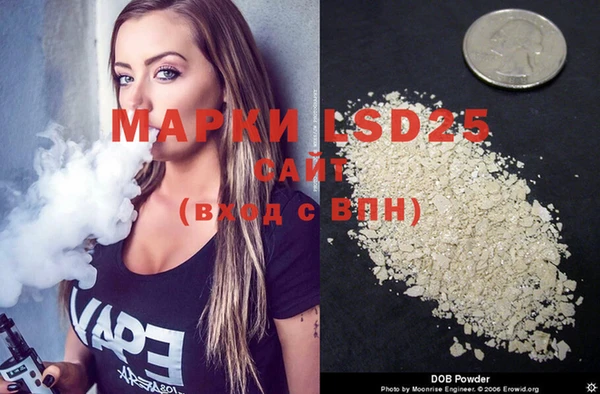 spice Медвежьегорск
