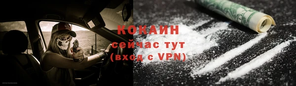 ECSTASY Дмитриев