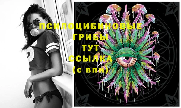 МДПВ Медногорск