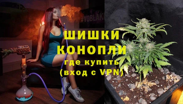 ECSTASY Дмитриев
