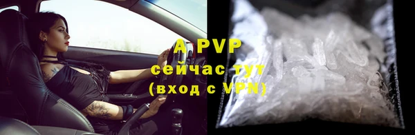 ECSTASY Дмитриев
