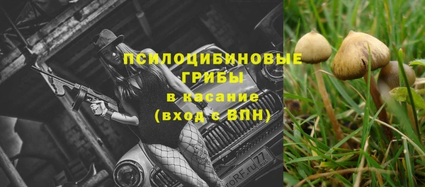ECSTASY Дмитриев
