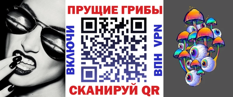 Галлюциногенные грибы Psilocybine cubensis  Ельня 